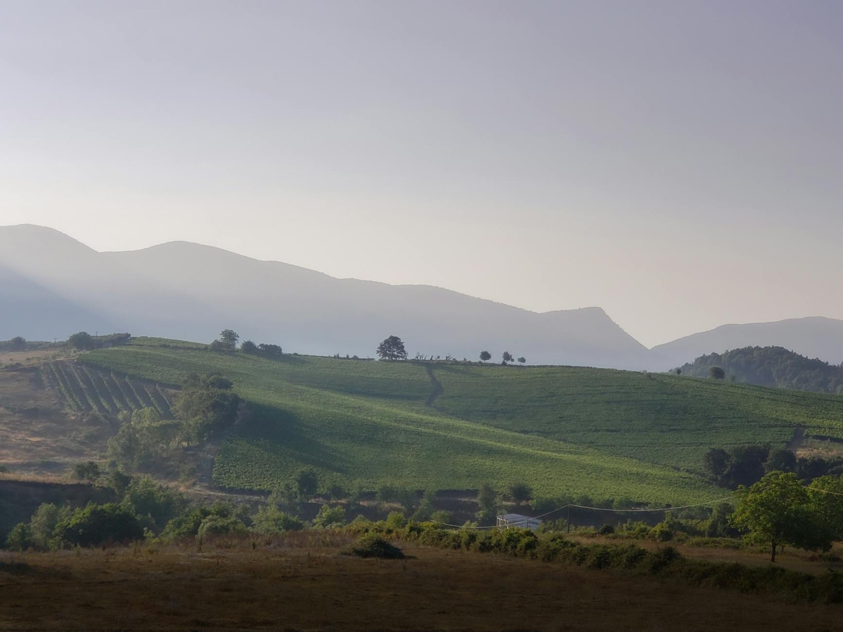 Albania Wine Trip: Berat & Permet Road Trip