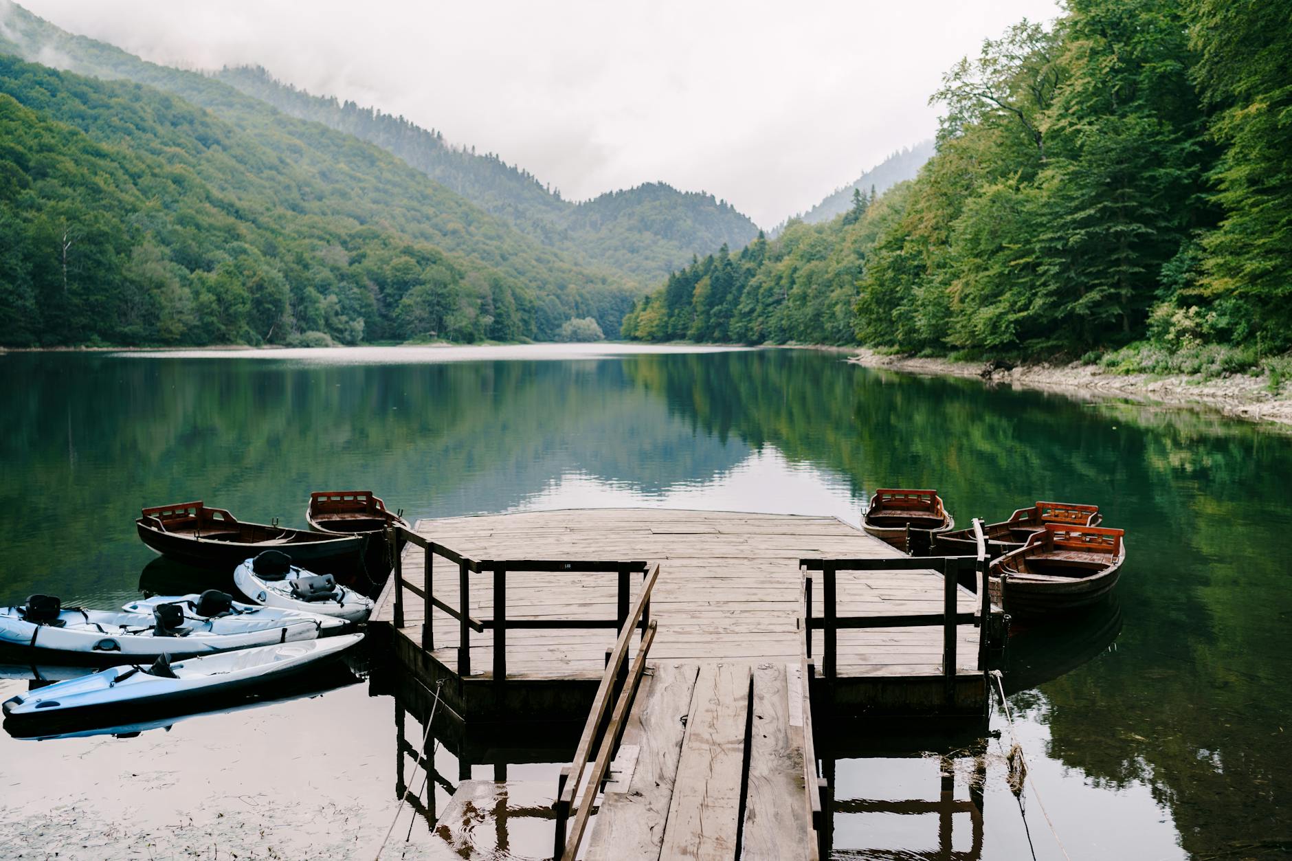 Biogradska Gora: Virgin Forest Drive