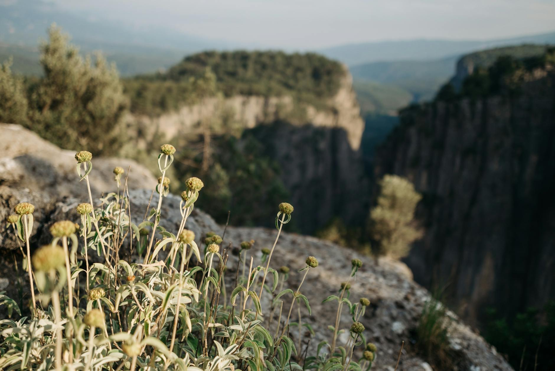 Demir Kapija Canyon: Explore North Macedonia