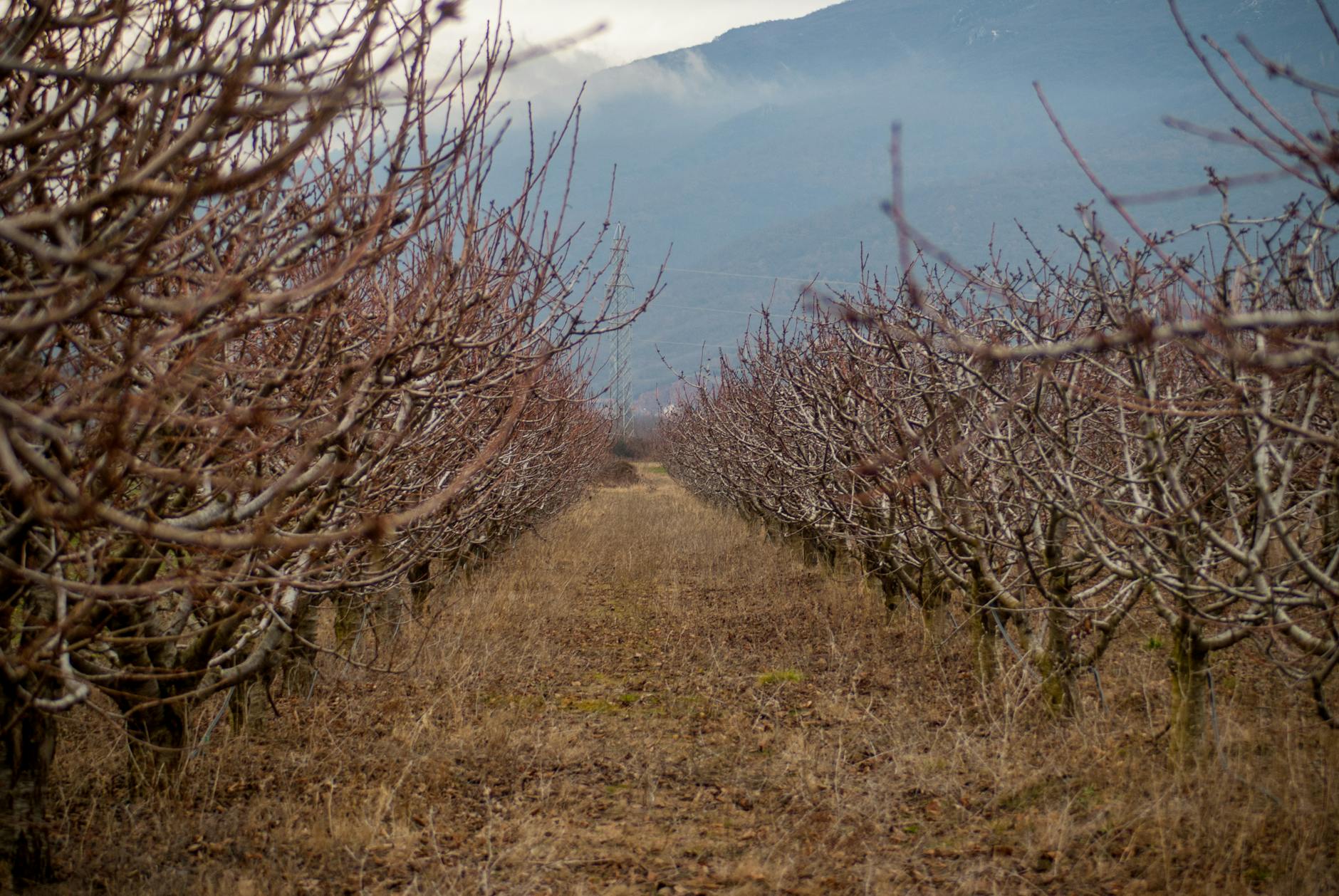 North Macedonia Wine Road Trip: Tikves & Polog
