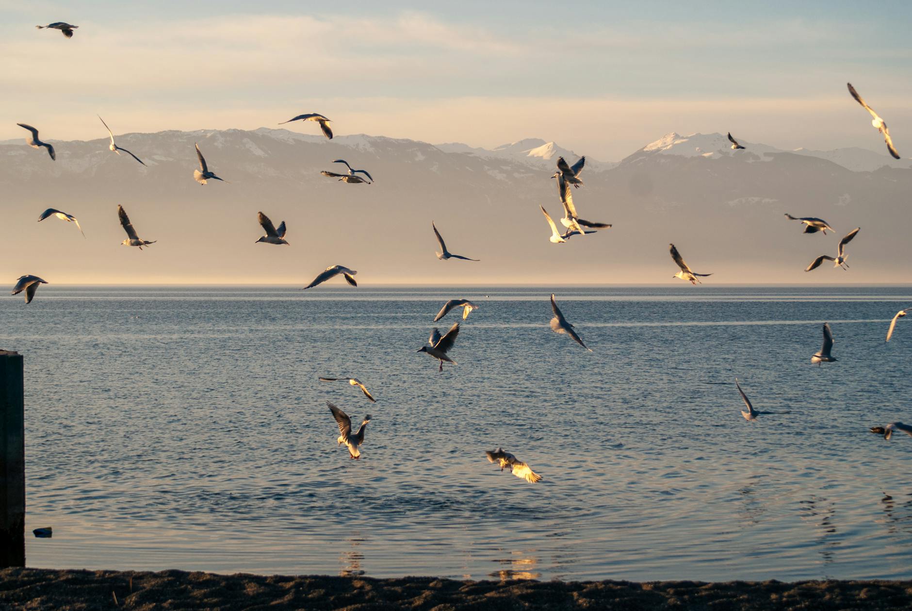 Ohrid Photography: Sunrise & Sunset Spots