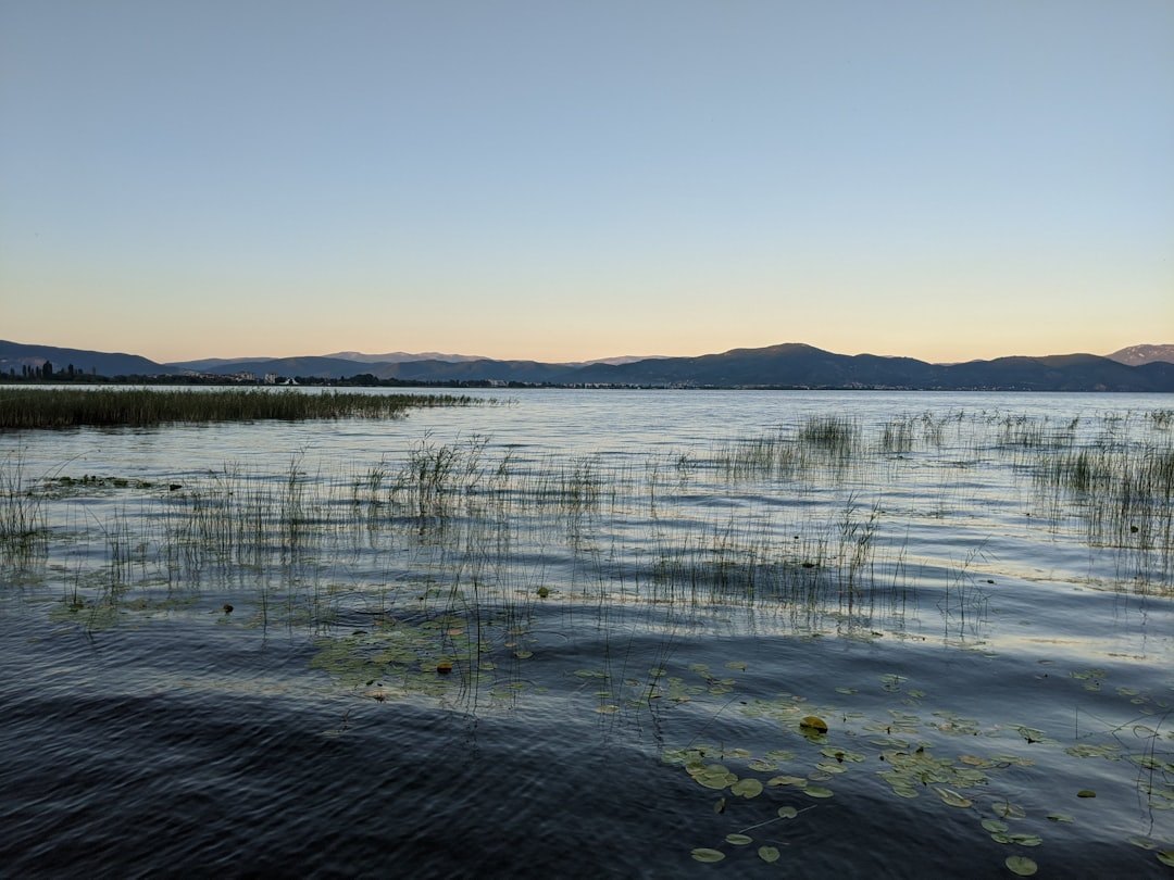 Struga Guide: Lake Ohrid's Other Town (and Why It's Worth the Stop)