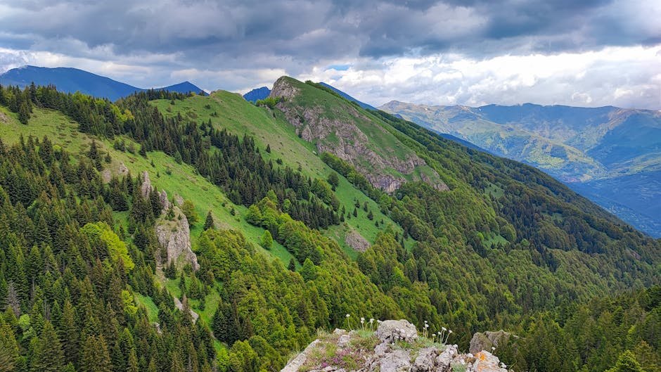 Tetovo & Šar Mountains: Day Trip from Skopje 2026