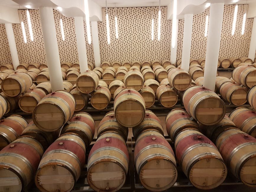 Tikveš Wine Region: Driving Tour of Macedonian Vineyards
