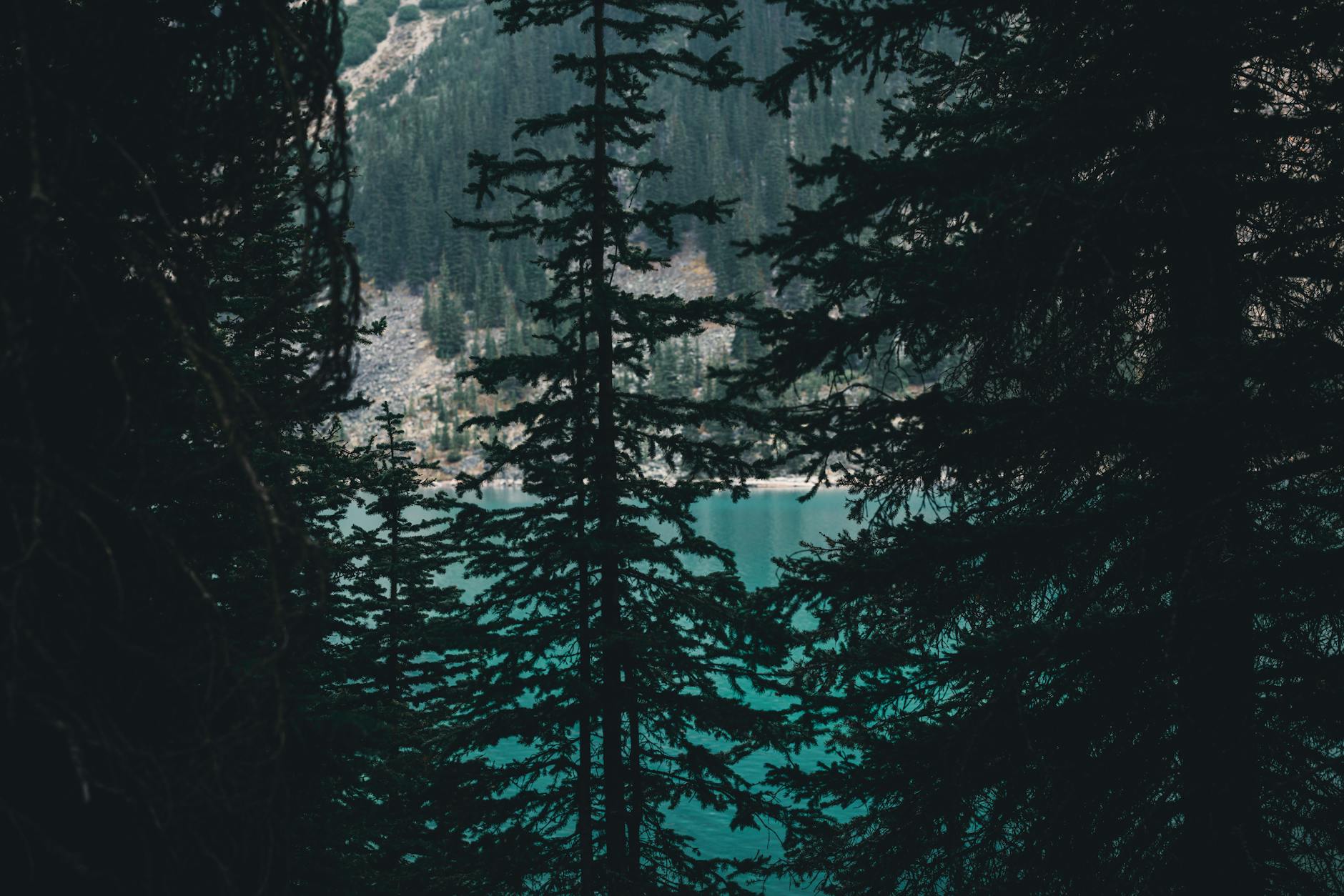 Mavrovo National Park by Car: Day Trip Guide from Skopje