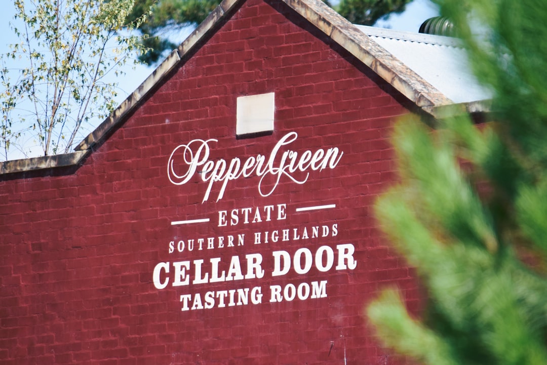 Wine Tourism in North Macedonia: A Road Trip Through the Vineyards